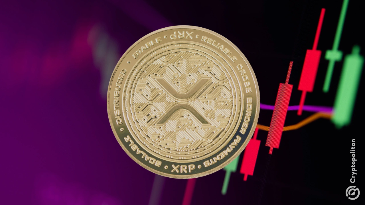 九游体育下载-XRP攀升势惊人，一夜飙升26.62%，加密市场沸腾，投资者瞩目